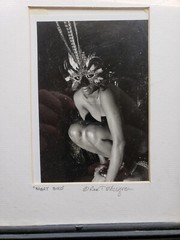 «Night Bird «10x11x1 Photograph Art In Wood Glass Frame.