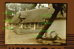 Slide 1971 Juliusruh Rügen House with Vine Roof and Small Front Garden
