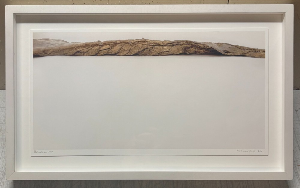 PATRICIA SILVA ‘The Braided Wave’ NATURALIST Abstract CONTEMPORARY Photograph