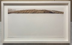 PATRICIA SILVA ‘The Braided Wave’ NATURALIST Abstract CONTEMPORARY Photograph
