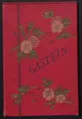 Photo Album with 12 Photographs, View Bad Gastein, Imperial Promenade, Schreckbrüc