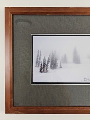 Signed David Whitten Limited Edition 35mm Photograph Print 17.5×14.75 Framed Art
