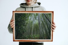Arashiyama Bamboo Grove photo print