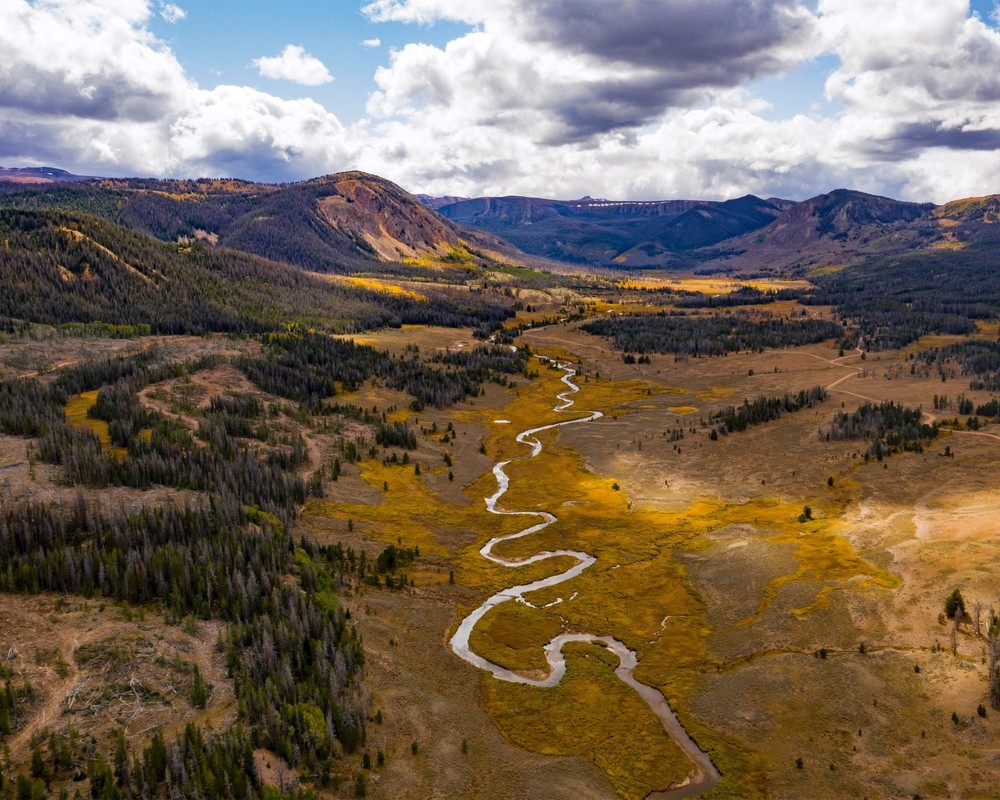 Ashley National Forest, Utah 8″x10″ Photo Print 8×10