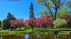 MH Nature & Landscape Photographs – Flowers Trees Water Landscapes 16×20 Canvas.