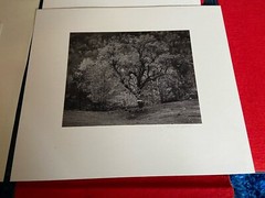 Lot of 5 MARK CITRET Signed Photos With Hardcover Case – Old Halcott Cemetery