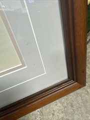 Thomas Mangelsen Signed Numbered Baron Pursuit Sold Out (out Of Production)