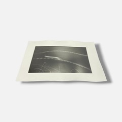 Toni Crabb «FIber 1 (Moths) V» Limited Signed Art Photography Print, 12 x 17 cm