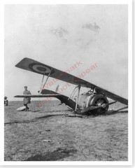 WWI German Posing Wrecked AEF American Aero Squadron Plane 8 x 10 Photo