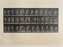 EADWEARD MUYBRIDGE authentic 1887 collotype ANIMAL LOCOMOTION PLATE 402 – lewitt