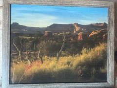 Photograph Of Desert In The Springtime Framed 15 1/2 X 12 1/2