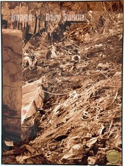 “The Dig for the Missing” — Ground Zero 2001 Press Reference Print (1 of 1) FDNY