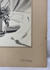 Vintage 1952 Original H.B Woodling «Ivory & Old Lace» Still Life Photograph