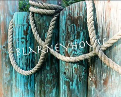GORGEOUS PHOTO OF WEATHERED PRIMITIVE AQUA PILINGS & NAUTICAL ROPE! HAWAII! 2