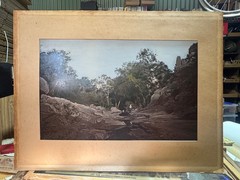 c.1900 Hand-Tinted Albumen Photograph Indigenous Landscape in Burr-Walnut Frame