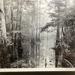 Blair Pittman: «Old River» – Original Gelatin Silver Print Photograph