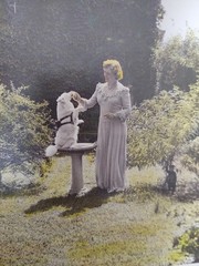 Vintage ORIGINAL C.1930s 8X10″ hand Colored Photo ( Not print ) SAMOYED SPITZ