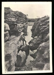 Photograph German South West Africa / Namibia, watercourse of the farm Ongeama