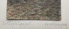 Fred Thompson Hand Colored Tinted Photograph NATURE’S CARPET Birch Trees Signed