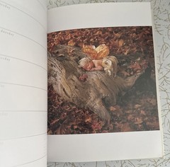 Anne Geddes Address Book & A Special Edition 2002 Calendar