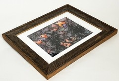 RODNEY LOUGH JR ORIG FRAMED GICLEE PHOTOGRAPH POINT REYES CALIFORNIA TIDE POOLS