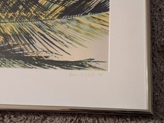 Vintage 1994 Robin L White Signed Palm Tree Tropical 23½»x10⅞»Framed Photo