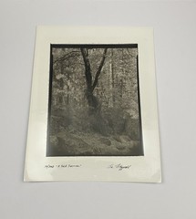 Jim Fitzgerald 10/2008 A Sole Survivor Signed Photograph Carbon Transfer