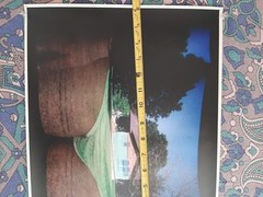 Jaime Martinez 2013 Print Lot (3) Photography Versace GIF Artist Mexico SIGNED