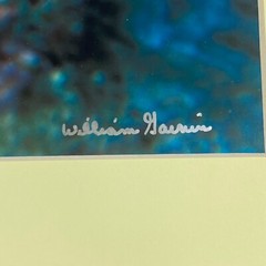 Underwater Trigger Fish Sea Ocean 8×10 Matted Photo In 11×14 Signed By Artist