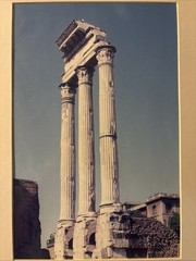 Vintage Roman Forum Castor Pollux Framed Photo Dark Academia Grandmillennial Art