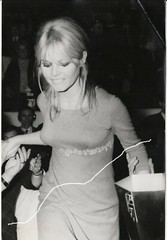 30x20cm Reporters Associes Vintage Original Foto 1960er Brigitte Bardot photo