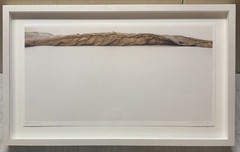 PATRICIA SILVA ‘The Braided Wave’ NATURALIST Abstract CONTEMPORARY Photograph