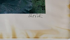 ELIOT PORTER-IL Photographer-Hand Signed Dry Transfer Print-Lotus Blossoms-China