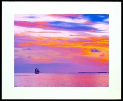 KEY WEST Sunset Sail 11×14″ Matted Art Photo Photograph Sailing Silhouette Boat