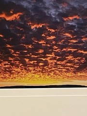 Grand Canyon Photo On Metal Signed Shane Knight