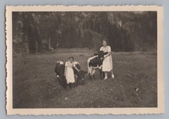 Scharitzkehlalm near Berchtesgaden 1933 – 2 girls with young cattle – old photo
