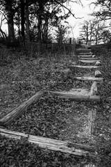 Trail Leading Up Hill in Oklahoma Black and White Photo Print (Unframed)