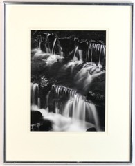 ADAMS, Ansel. (1902–1984) Fern Spring, Dusk Yosemite Valley, California