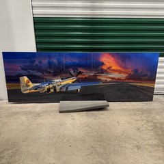 Peter Lik «Velocity» Airplane Aviation HUGE 6.5 Feet (2M) Picture with COA
