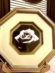 Beautiful Vintage Rose Black & White Octagon Matted Framed Art Print