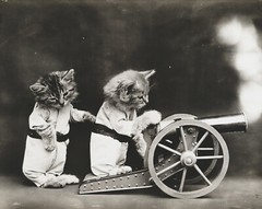 cat kitten kitty art print Harry Whittier Frees 8×10 vintage photo picture #8