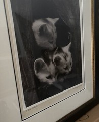 A. Aubrey Bodine American Silver Gelatin Photo Exhibited Maryland Baltimore