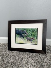 Mother Moose With Calves – Framed Photograph Wall Artwork with Museum Glass