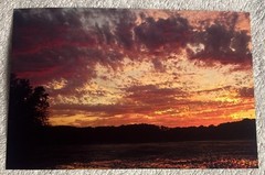 105 Nature Art Photographs 6×4” & 5.25 x4” Vibrant Colorful & 4 Post Cards
