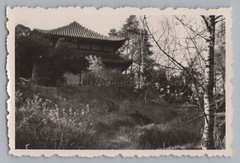 Berlin Frohnau 1957 Temple Complex Old Photo 1950s