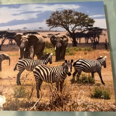 Paul Gruner elephant & zebra safari Metal Art Signed