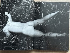 🎈MEGA RARE SIGNED! Daido Moriyama – Retrospective Since 1965, Limited Ed, Araki