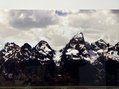 Russ Kerr Majesty Of Birds Wild Life Photographer Grand Teton National Park