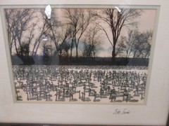 Natural Imagery Signed Photograh by William Ervin «A Gathering of Swans» Framed