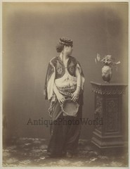 Beautiful woman belly dancer w tambourine antique Middle East albumen photo